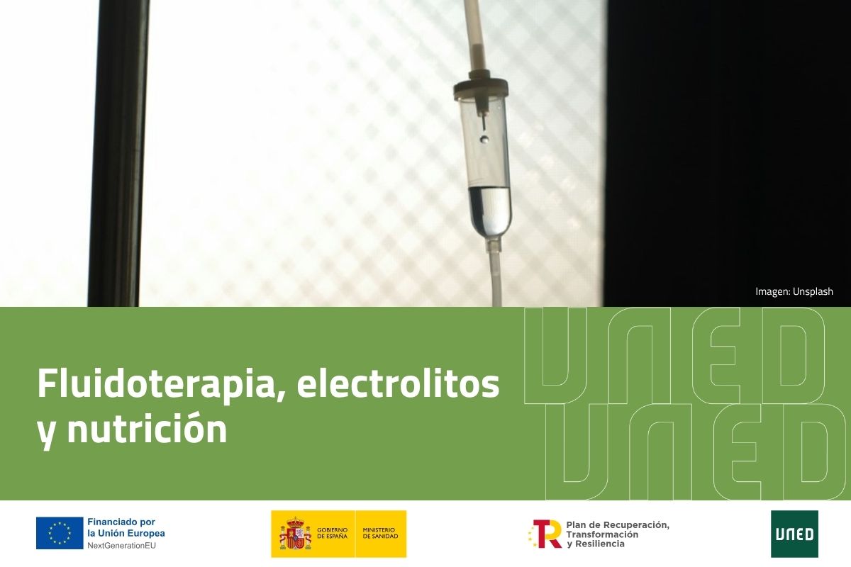 Fluidoterapia, electrolitos y nutrición